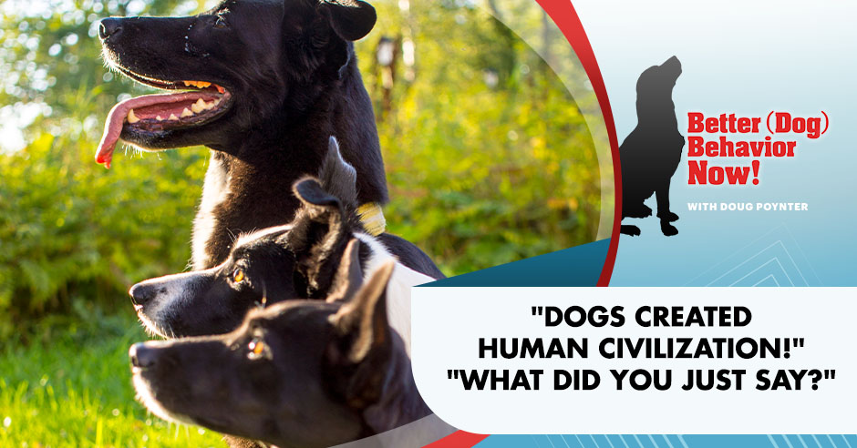 BDBN 11 | How Dogs Help Civilization
