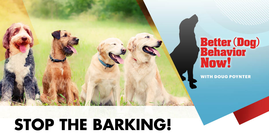 BDBN 16 | Dog Barking